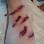 10881498_488099174663699_6941893132665660987_n